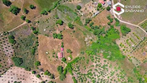 Terreno com casa agrícola para VENDA em São Miguel de Acha