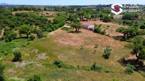 Terreno com casa agrícola para VENDA em São Miguel de Acha