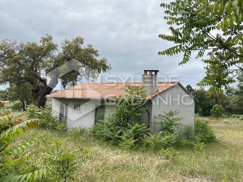 Terreno com casa agrícola para VENDA em São Miguel de Acha