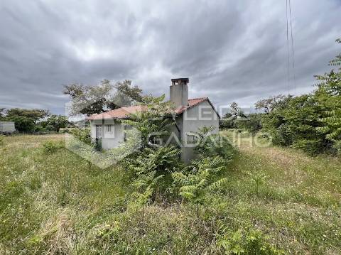 Terreno com casa agrícola para VENDA em São Miguel de Acha