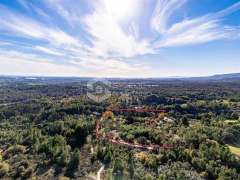 Quinta T3 Venda em Castelo Novo,Fundão