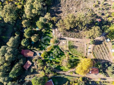 Quinta T3 Venda em Castelo Novo,Fundão