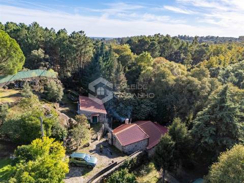 Quinta T3 Venda em Castelo Novo,Fundão