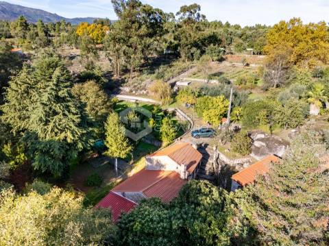 Quinta T3 Venda em Castelo Novo,Fundão