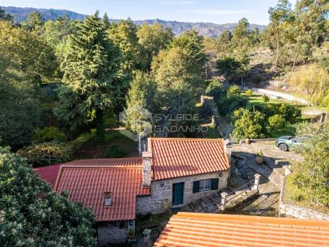 Quinta T3 Venda em Castelo Novo,Fundão