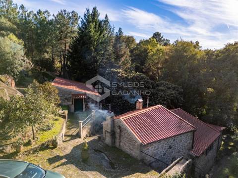 Quinta T3 Venda em Castelo Novo,Fundão