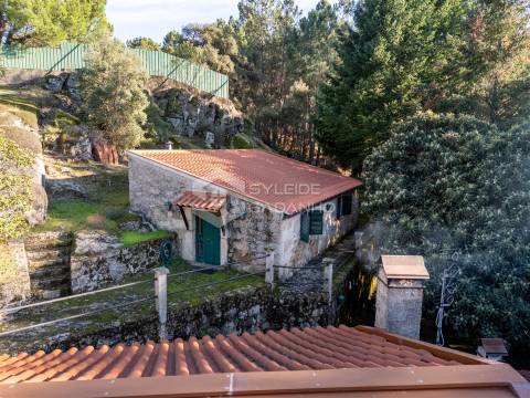 Quinta T3 Venda em Castelo Novo,Fundão