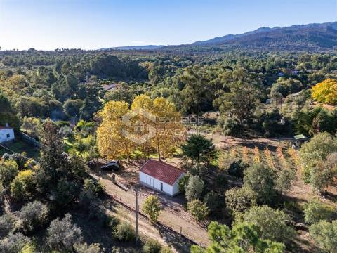 Quinta T3 Venda em Castelo Novo,Fundão