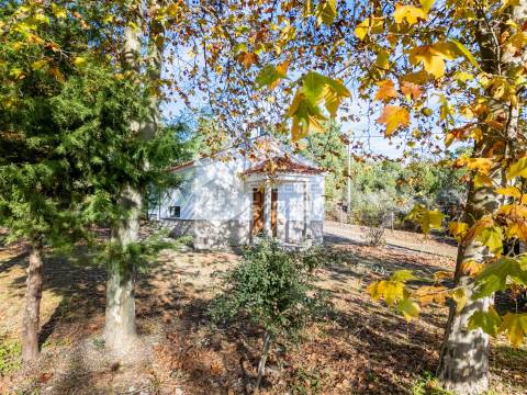 Quinta T3 Venda em Castelo Novo,Fundão