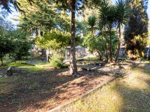Quinta T3 Venda em Castelo Novo,Fundão