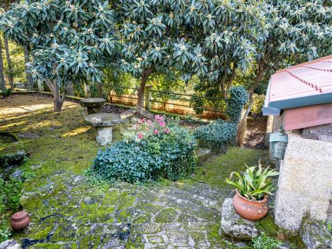 Quinta T3 Venda em Castelo Novo,Fundão