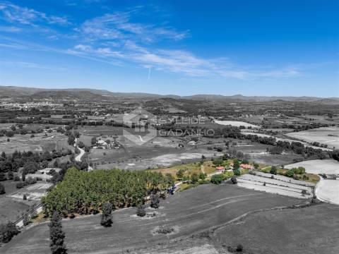 Quinta T8 Venda em Caria,Belmonte