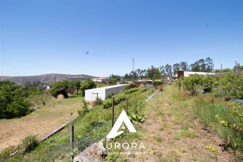 Quinta de Produção de Mirtilos com Infraestruturas Habitacionais e Agroindustriais