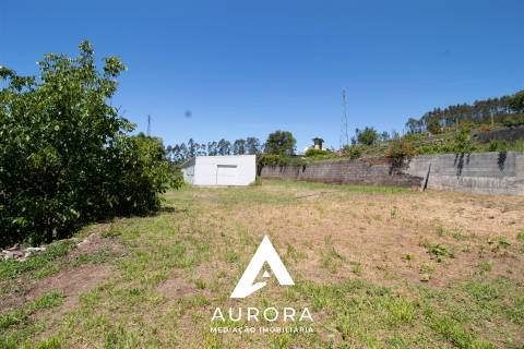Quinta de Produção de Mirtilos com Infraestruturas Habitacionais e Agroindustriais