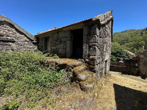 Oportunidade Única Investimento Turismo Rural, Moradia com Projeto| Varziela,