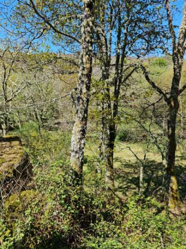 Moradia para Restaurar  Venda em Castro Laboreiro e Lamas de Mouro,Melgaço