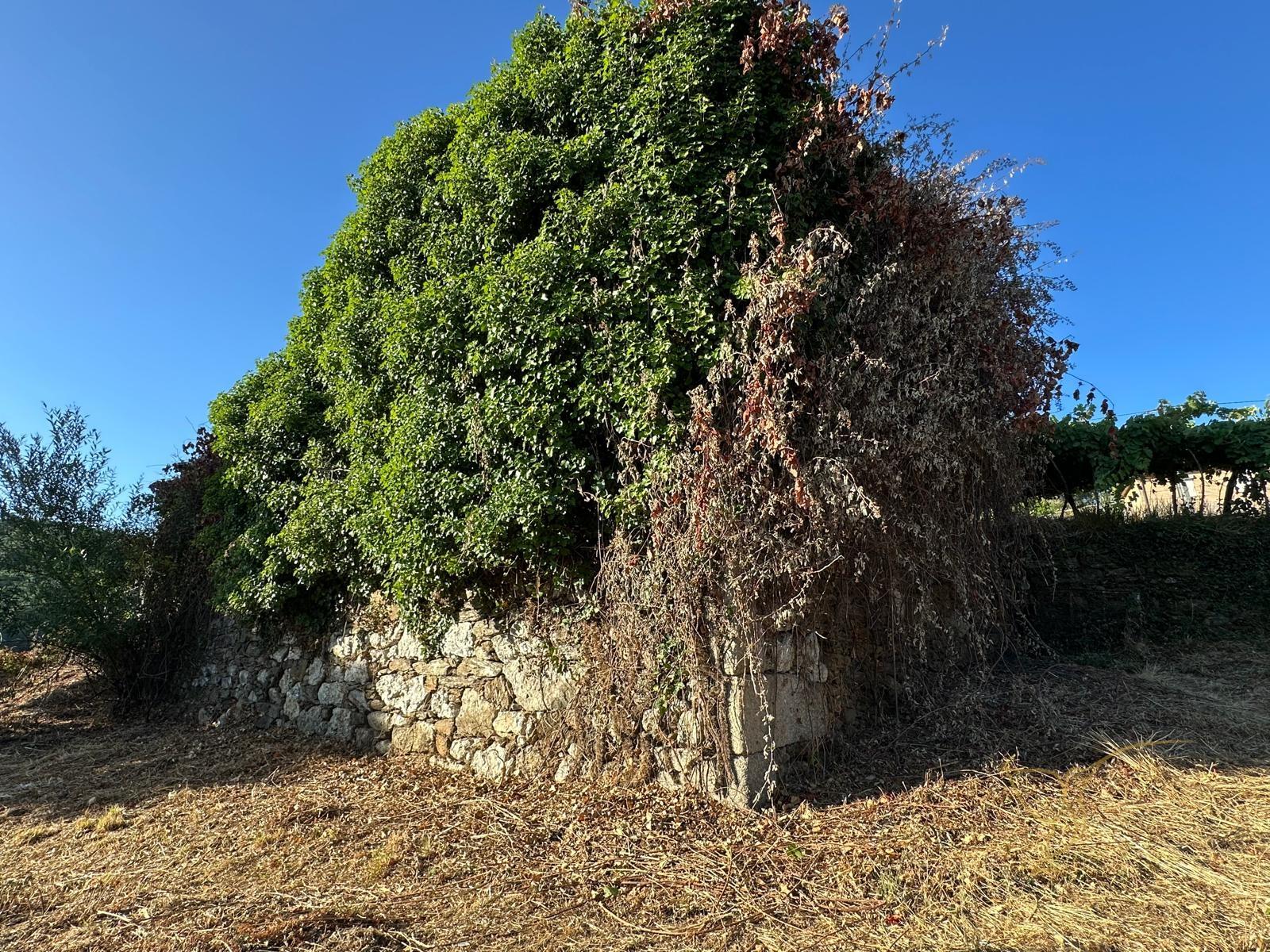 Moradia Pedra; Riba Mouro; Monção; Rio; ImoFaçanha