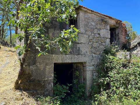 Oportunidade Única Investimento Turismo Rural, Moradia com Projeto| Varziela,