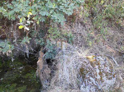 Terreno Agrícola situado na freguesia de Vale de Mourisco
