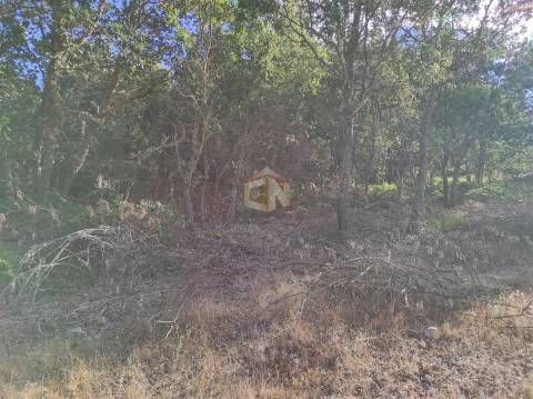 Terreno Agrícola de grandes dimensões em Vale de Mourisco