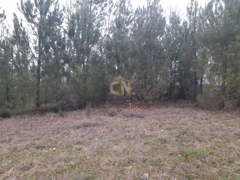 Vende-se terreno no Cerdeiral, na cidade de Sabugal