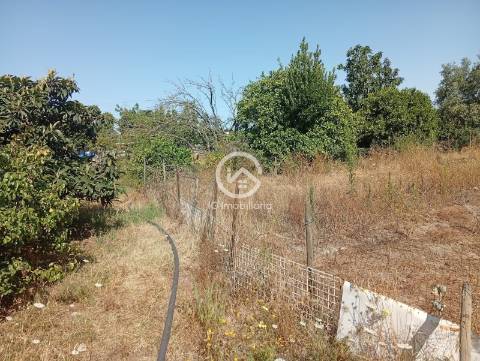 Quintinha T5 Venda em Palmela,Palmela