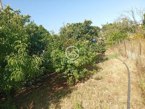 Quintinha T5 Venda em Palmela,Palmela