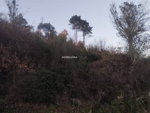 Terreno Rústico  Venda em Sande e São Lourenço,Marco de Canaveses