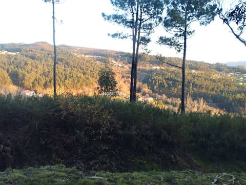 Terreno Rústico  Venda em Sande e São Lourenço,Marco de Canaveses