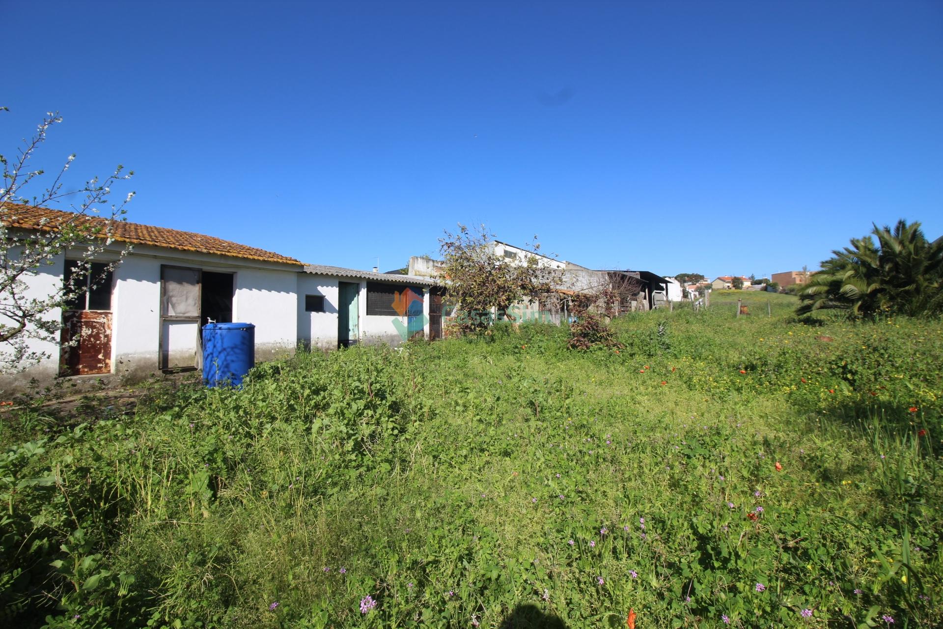 Moradia T3 Venda em Meia Via,Torres Novas