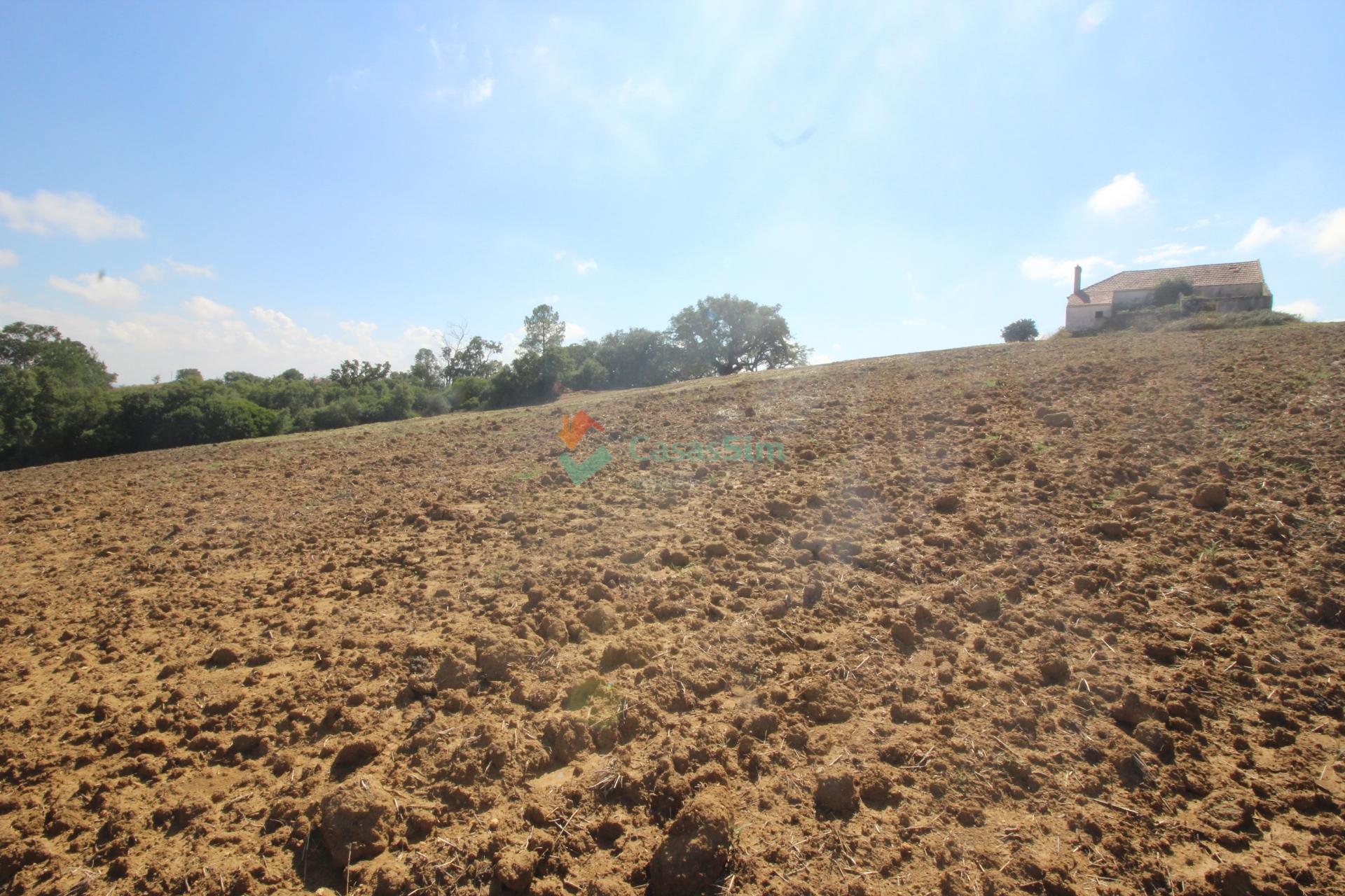 Quinta T2 Venda em Casével e Vaqueiros,Santarém