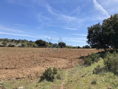 Terreno Rústico  Venda em Azinhoso,Mogadouro