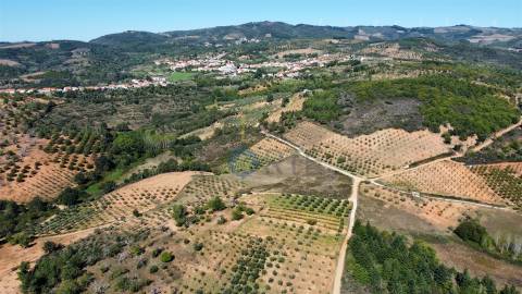 Terreno Rústico  Venda em Sambade,Alfândega da Fé