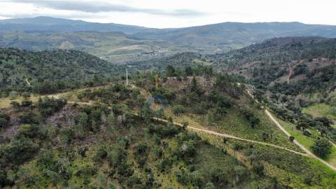 Terreno Rústico  Venda em Barcel, Marmelos e Valverde da Gestosa,Mirandela