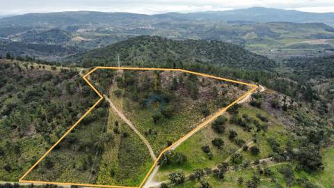 Terreno Rústico  Venda em Barcel, Marmelos e Valverde da Gestosa,Mirandela