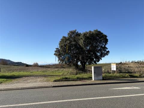 Terreno Rústico  Venda em Mogadouro, Valverde, Vale de Porco e Vilar de Rei,Mogadouro