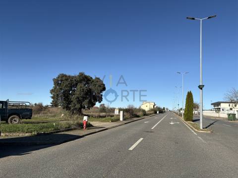 Terreno Rústico  Venda em Mogadouro, Valverde, Vale de Porco e Vilar de Rei,Mogadouro