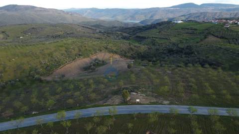 Terreno Rústico  Venda em Adeganha e Cardanha,Torre de Moncorvo