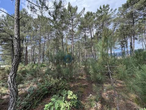 Lote de Terreno  Venda em Lordelo,Vila Real