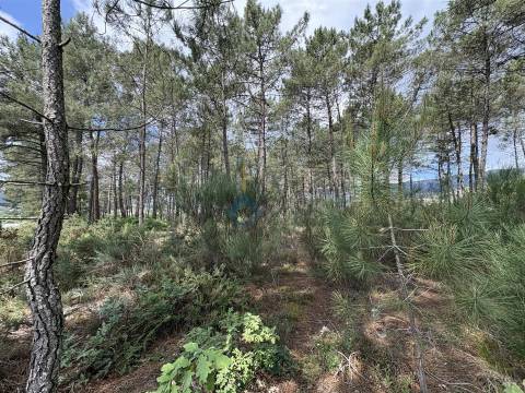 Lote de Terreno  Venda em Lordelo,Vila Real