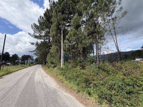 Lote de Terreno  Venda em Lordelo,Vila Real