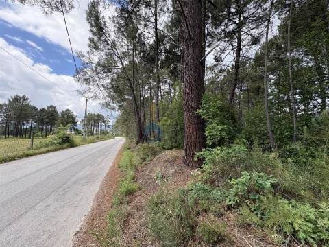 Lote de Terreno  Venda em Lordelo,Vila Real