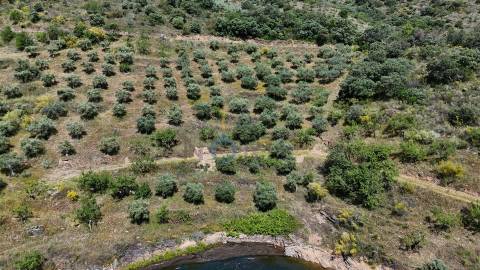 Terreno Rústico  Venda em Vilar Chão,Alfândega da Fé