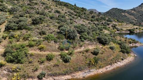 Terreno Rústico  Venda em Vilar Chão,Alfândega da Fé