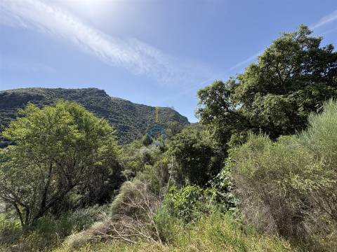 Terreno Rústico  Venda em Vilar Chão,Alfândega da Fé