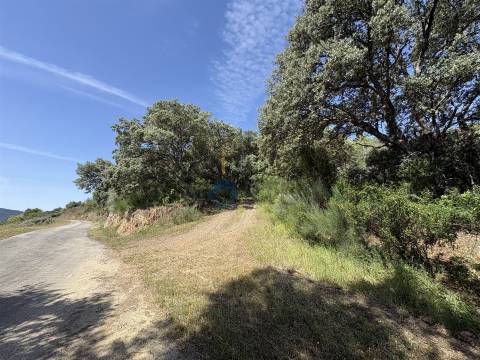 Terreno Rústico  Venda em Vilar Chão,Alfândega da Fé