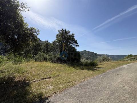 Terreno Rústico  Venda em Vilar Chão,Alfândega da Fé
