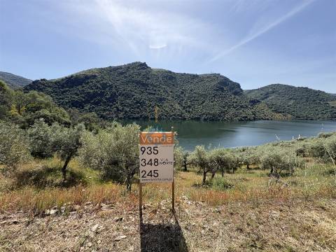 Terreno Rústico  Venda em Vilar Chão,Alfândega da Fé