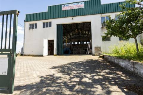 Pavilhão  Arrendamento em Alfândega da Fé,Alfândega da Fé