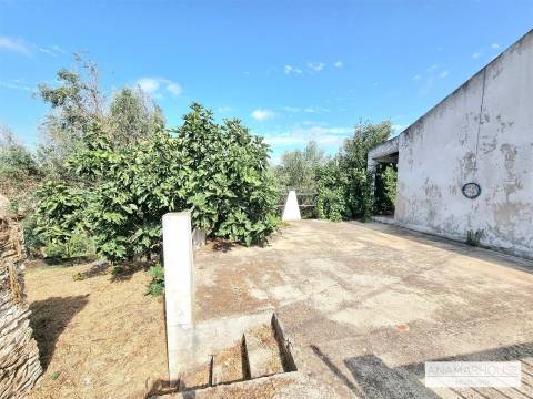 Moradia T2 Isolada com Terreno Murado de 800 m² e Poço – Aldeia do Cano | Cercal do Alentejo